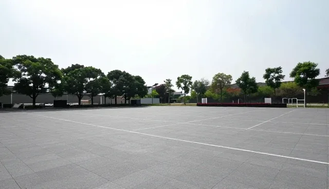 品牌传播:新媒体运营中的关键问题与解决方案